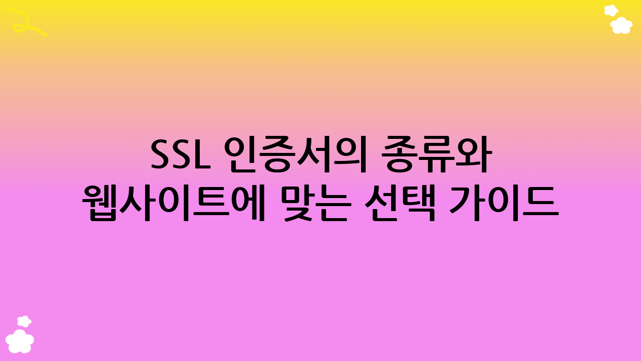 SSL 인증서의 종류와 웹사이트에 맞는 선택 가이드